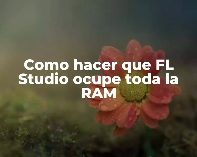 Como hacer que FL Studio ocupe toda la RAM