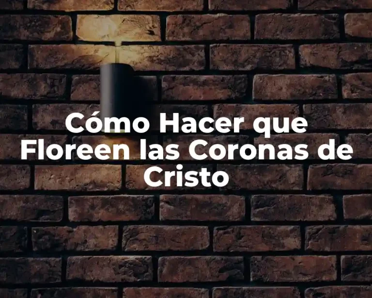 Cómo Hacer que Floreen las Coronas de Cristo