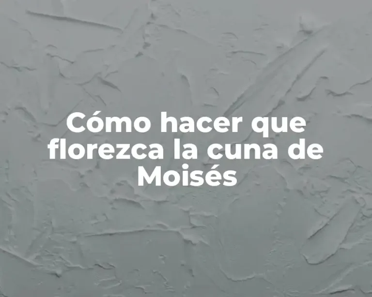 Cómo hacer que florezca la cuna de Moisés