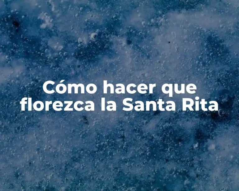Cómo hacer que florezca la Santa Rita