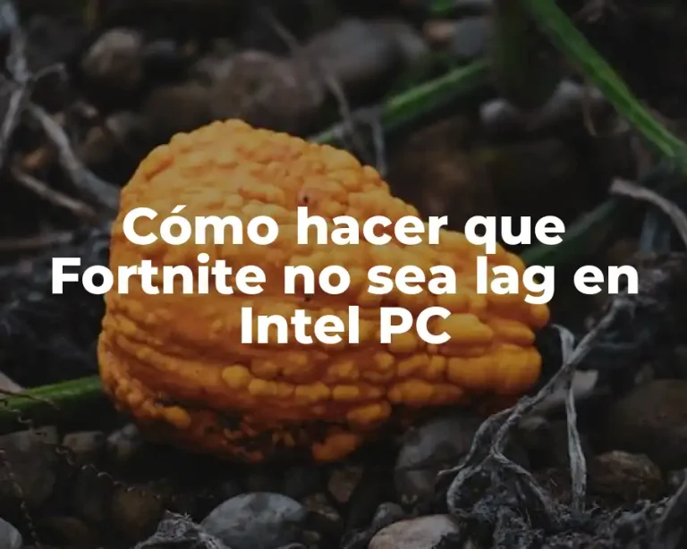 Cómo hacer que Fortnite no sea lag en Intel PC