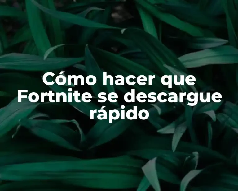 Cómo hacer que Fortnite se descargue rápido