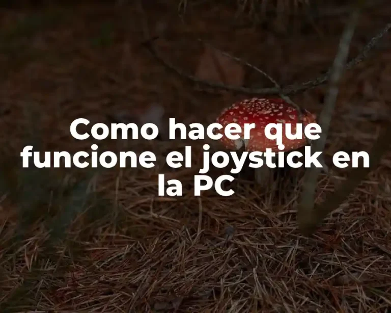 Como hacer que funcione el joystick en la PC