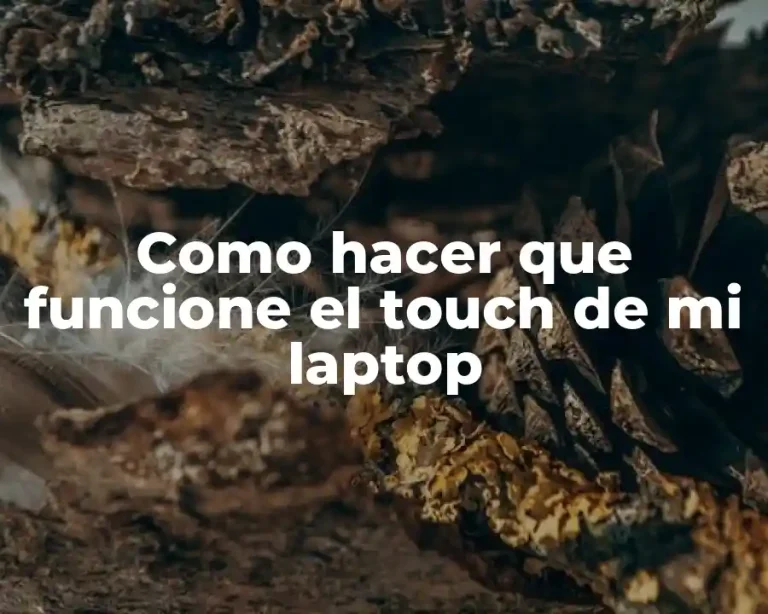 Como hacer que funcione el touch de mi laptop