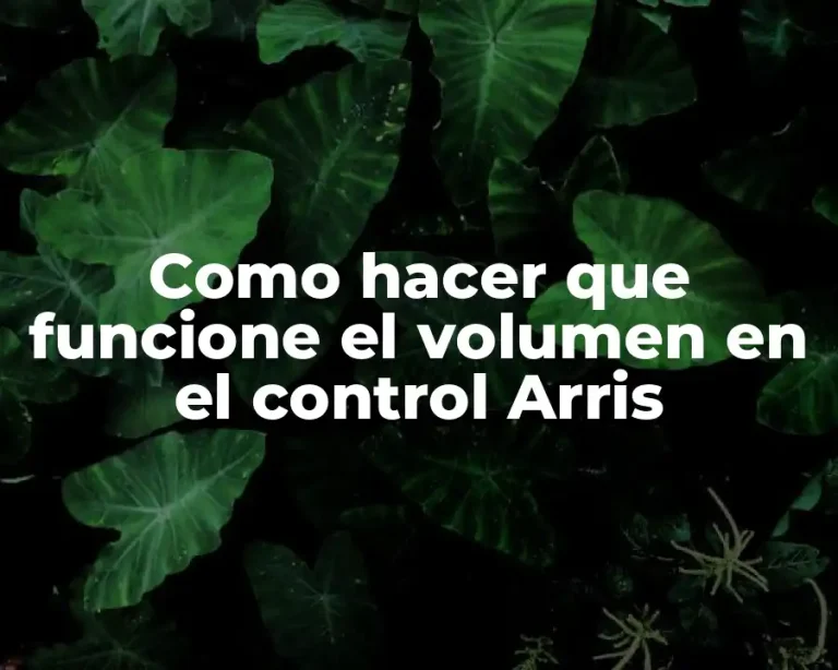 Como hacer que funcione el volumen en el control Arris