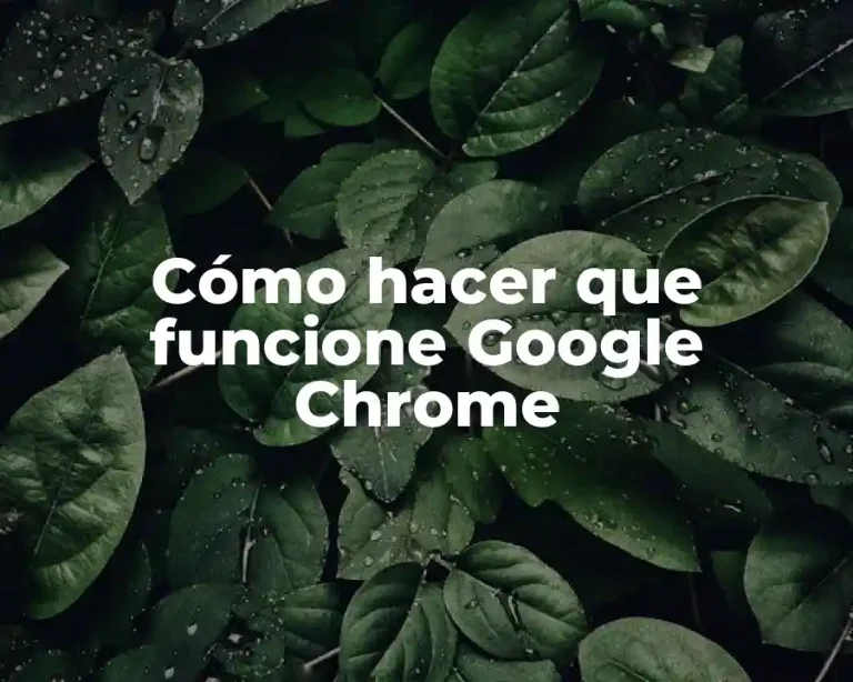 Cómo hacer que funcione Google Chrome