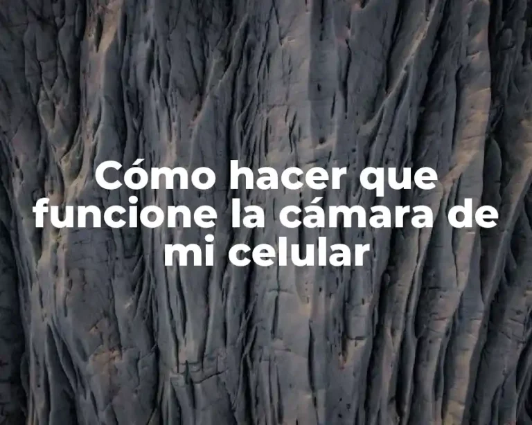 Cómo hacer que funcione la cámara de mi celular