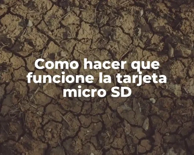 Como hacer que funcione la tarjeta micro SD