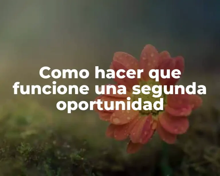 Como hacer que funcione una segunda oportunidad