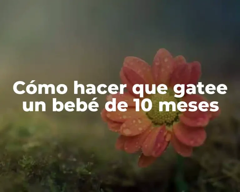 Cómo hacer que gatee un bebé de 10 meses