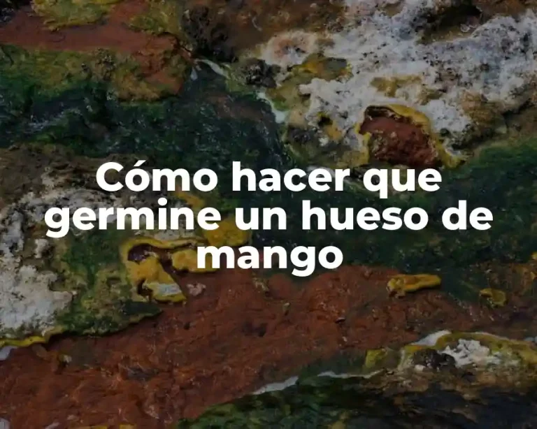 Cómo hacer que germine un hueso de mango