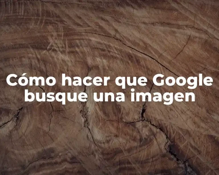 Cómo hacer que Google busque una imagen