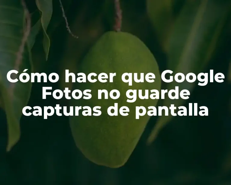 Cómo hacer que Google Fotos no guarde capturas de pantalla