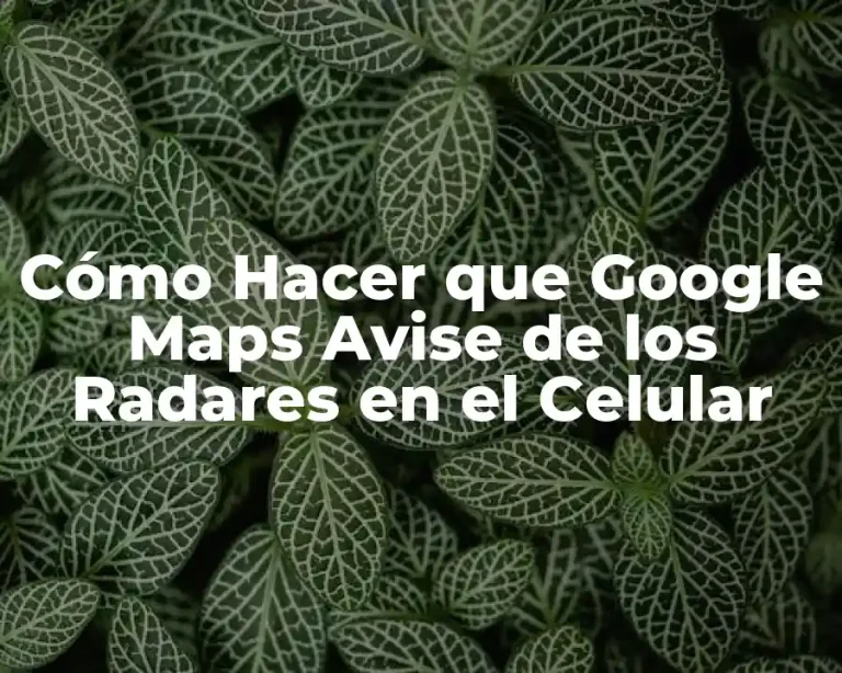 Cómo Hacer que Google Maps Avise de los Radares en el Celular