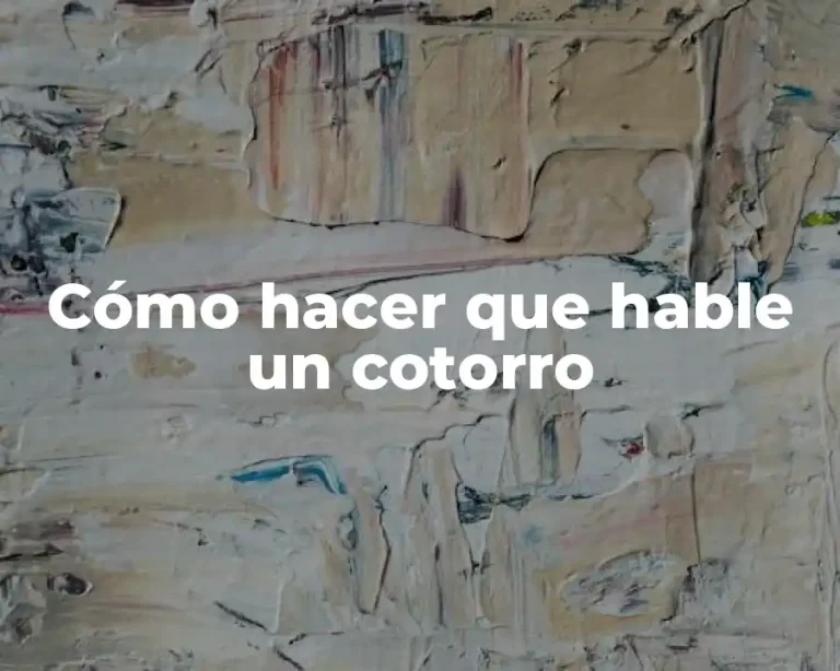 Cómo hacer que hable un cotorro