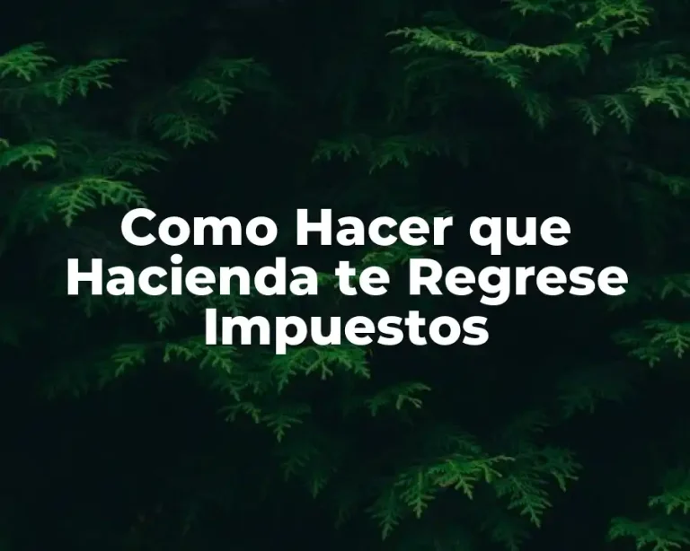 Como Hacer que Hacienda te Regrese Impuestos