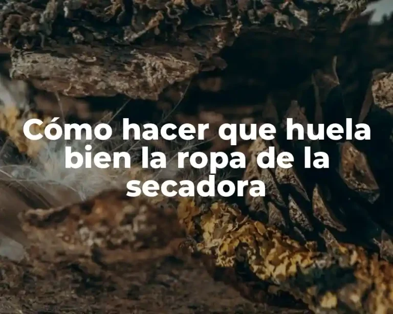 Cómo hacer que huela bien la ropa de la secadora