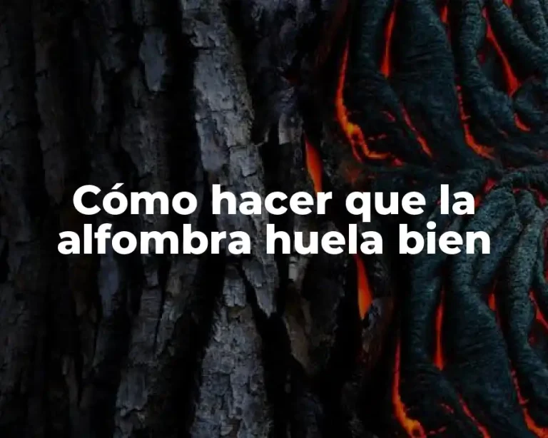 Cómo hacer que la alfombra huela bien