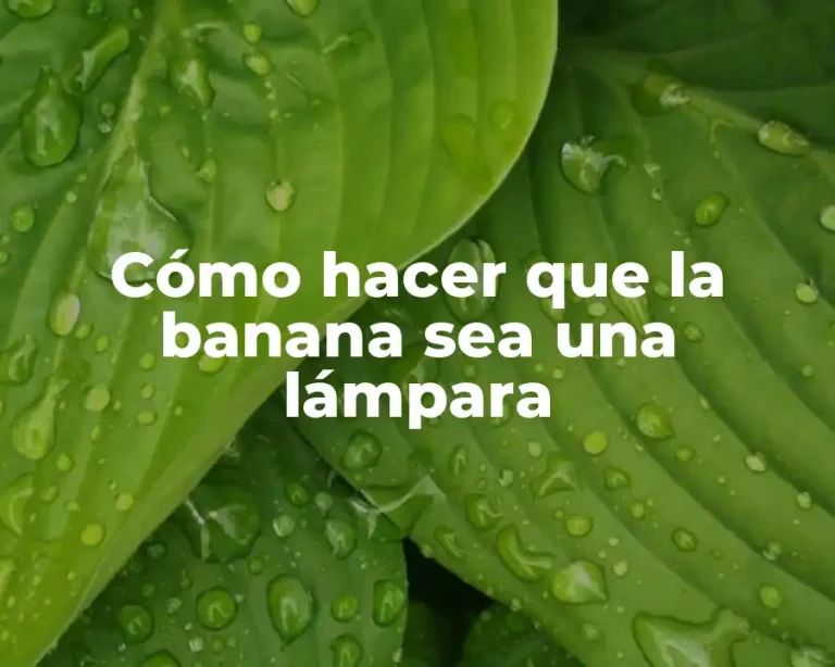 Cómo hacer que la banana sea una lámpara