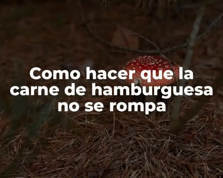 Como hacer que la carne de hamburguesa no se rompa