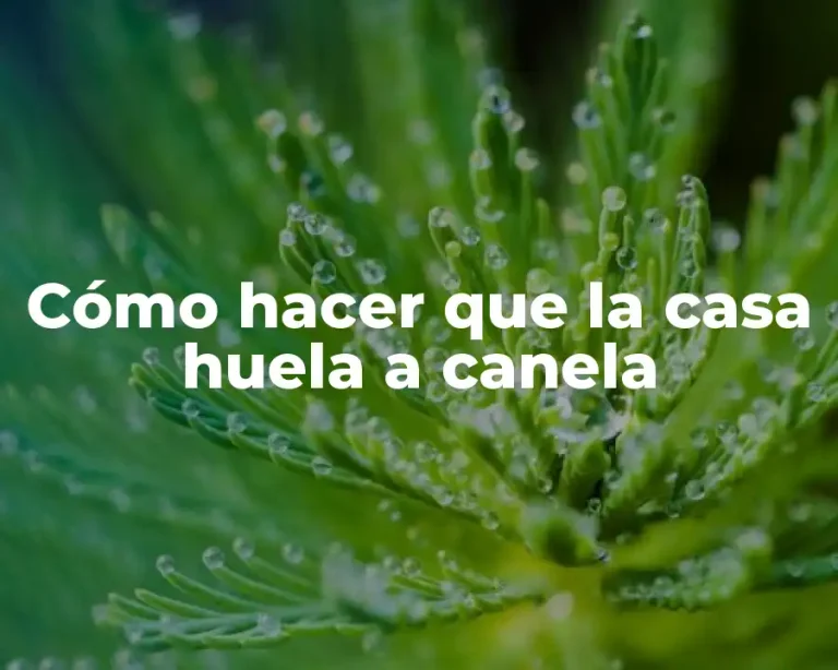 Cómo hacer que la casa huela a canela