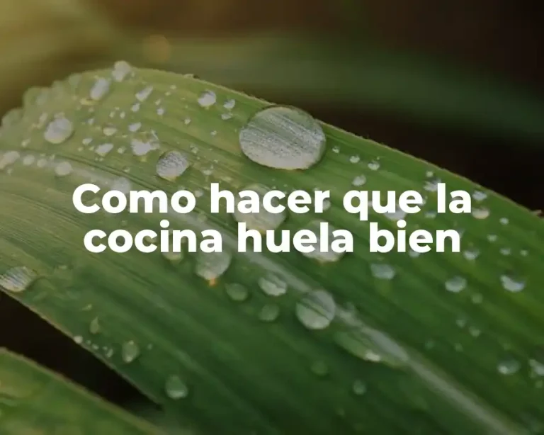 Como hacer que la cocina huela bien