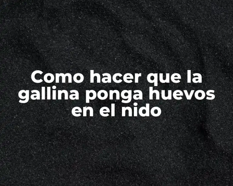 Como hacer que la gallina ponga huevos en el nido