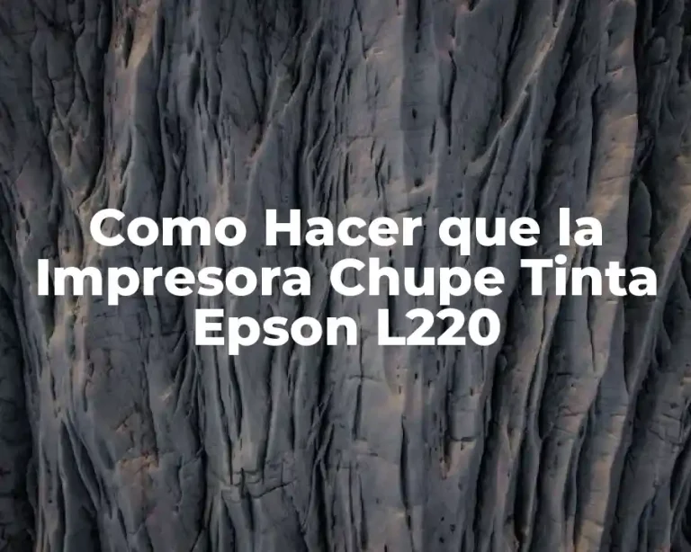 Como Hacer que la Impresora Chupe Tinta Epson L220