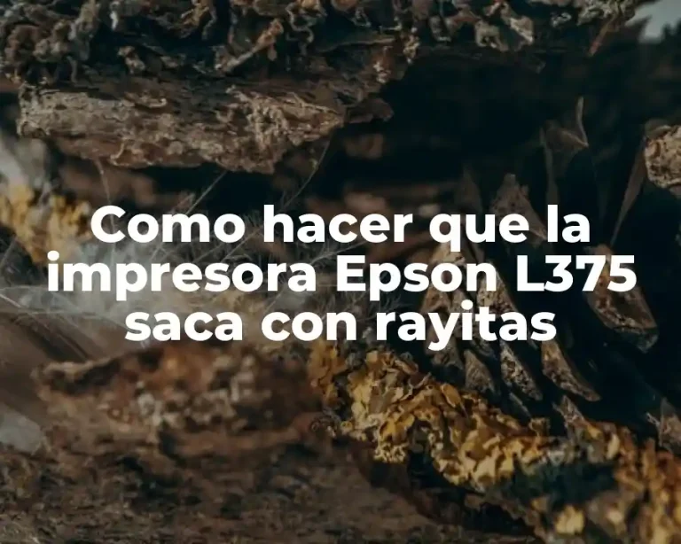 Como hacer que la impresora Epson L375 saca con rayitas
