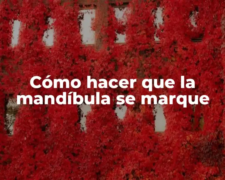 Cómo hacer que la mandíbula se marque