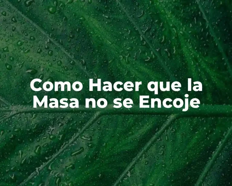 Como Hacer que la Masa no se Encoje