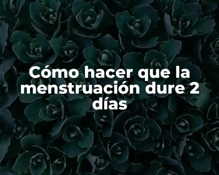 Cómo hacer que la menstruación dure 2 días