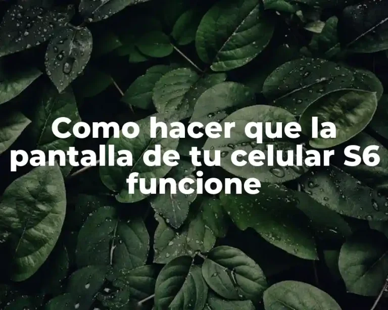 Como hacer que la pantalla de tu celular S6 funcione