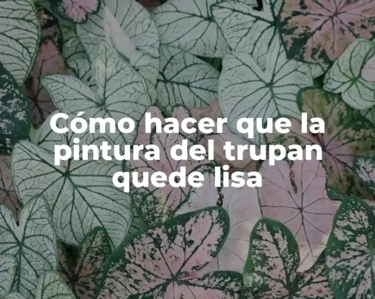 Cómo hacer que la pintura del trupan quede lisa