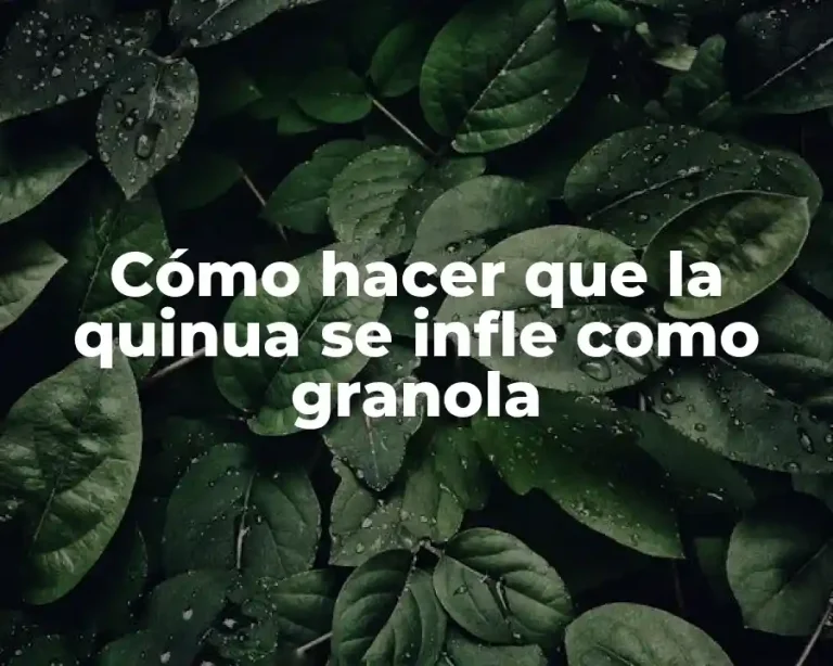 Cómo hacer que la quinua se infle como granola