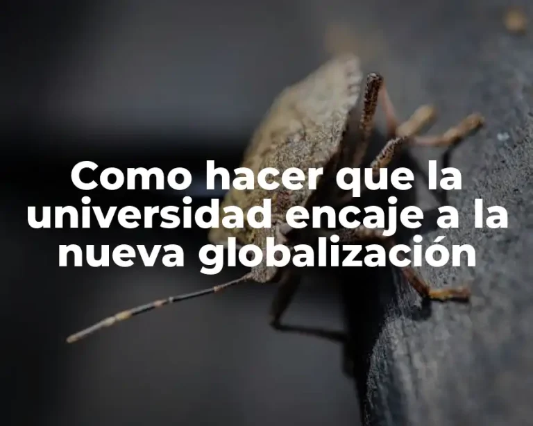 Como hacer que la universidad encaje a la nueva globalización