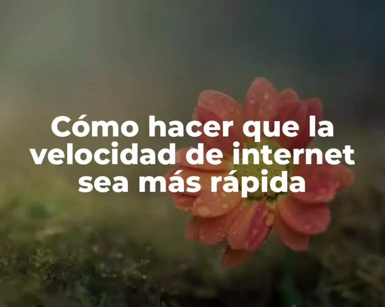 Cómo hacer que la velocidad de internet sea más rápida