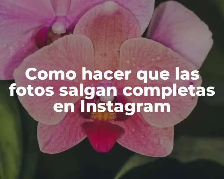 Como hacer que las fotos salgan completas en Instagram