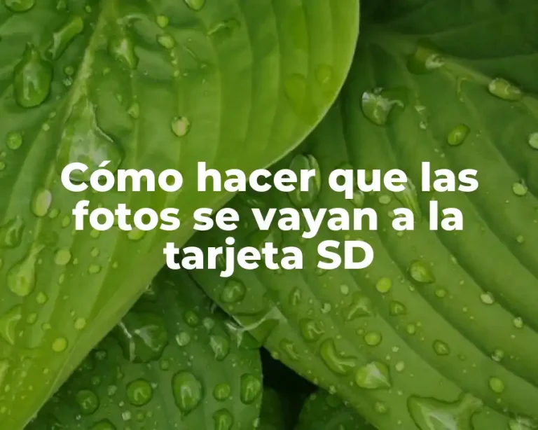 Cómo hacer que las fotos se vayan a la tarjeta SD