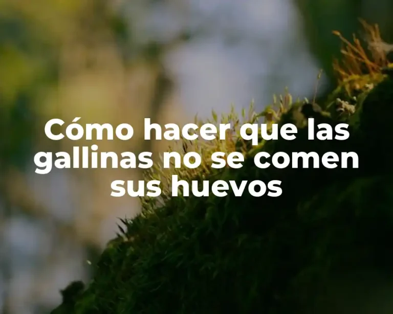 Cómo hacer que las gallinas no se comen sus huevos