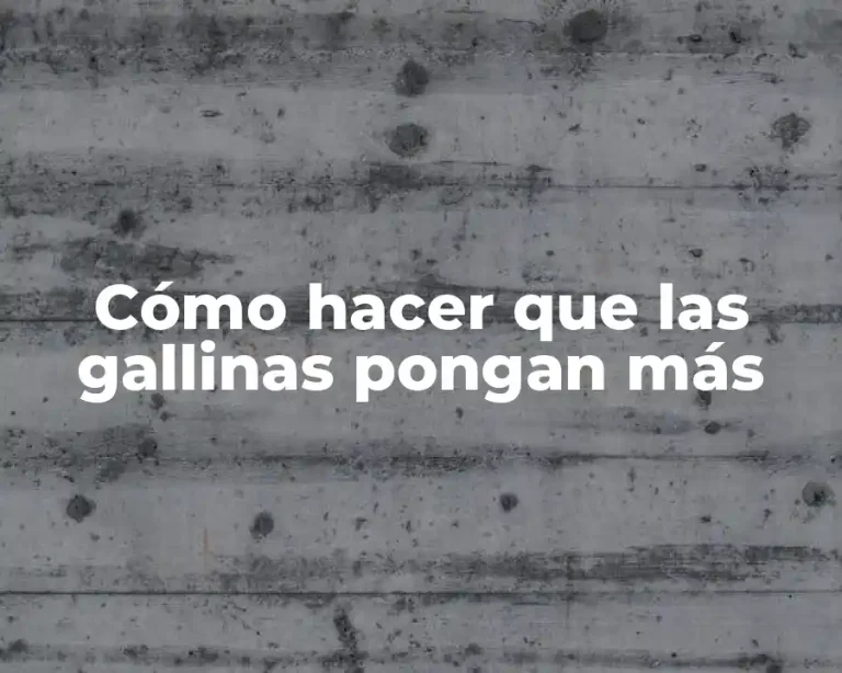 Cómo hacer que las gallinas pongan más