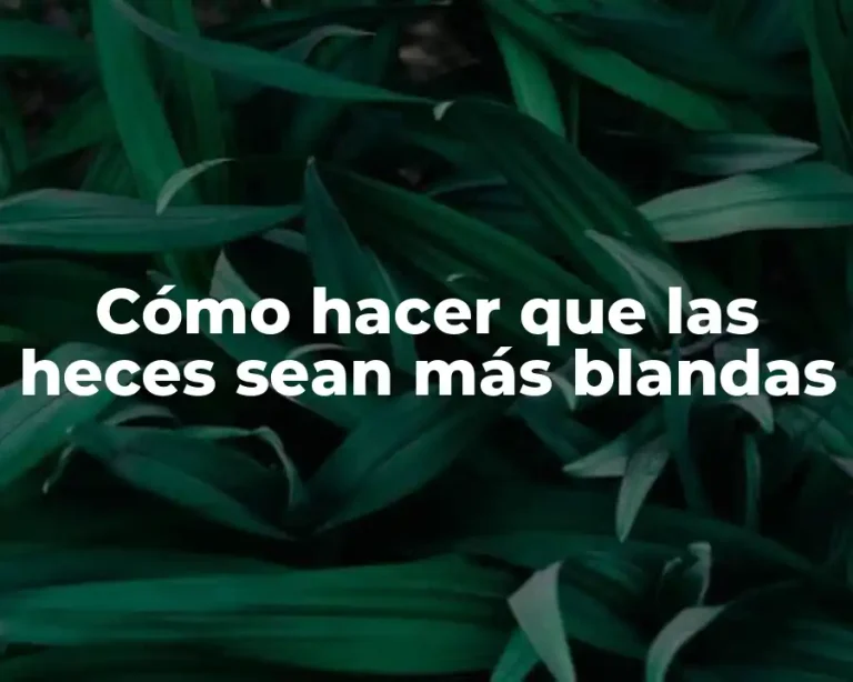 Cómo hacer que las heces sean más blandas