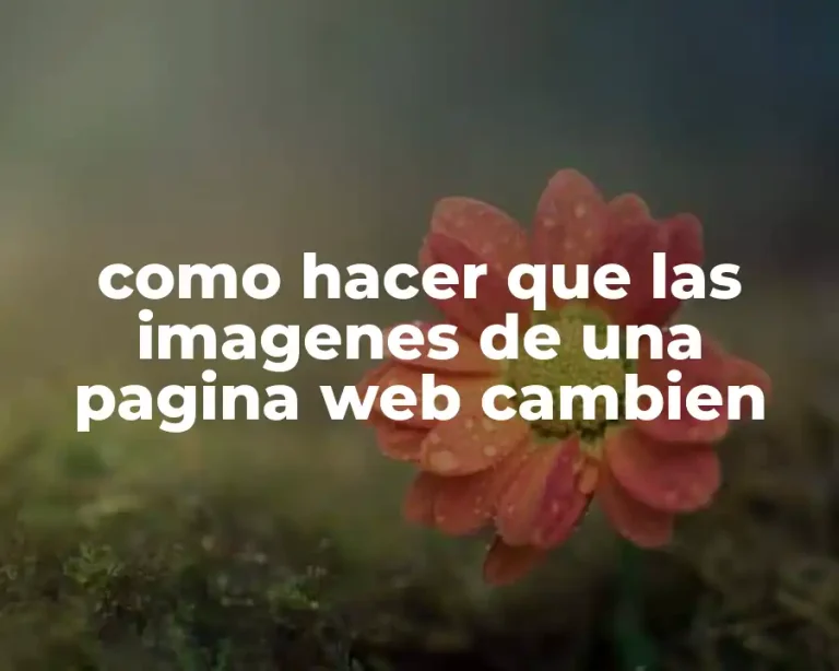 como hacer que las imagenes de una pagina web cambien