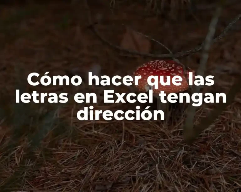 Cómo hacer que las letras en Excel tengan dirección