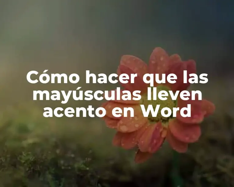 Cómo hacer que las mayúsculas lleven acento en Word
