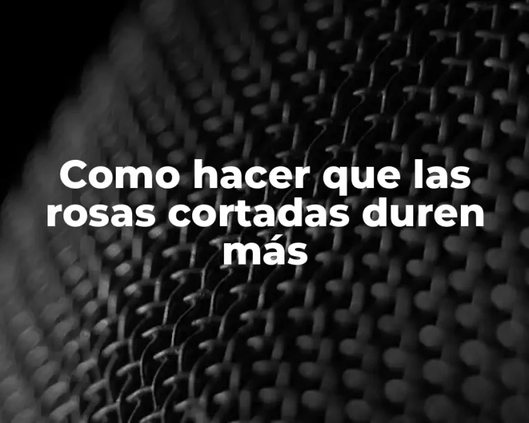 Como hacer que las rosas cortadas duren más