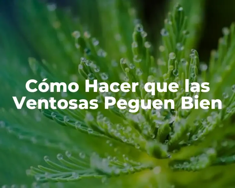 Cómo Hacer que las Ventosas Peguen Bien