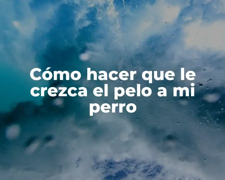 Cómo hacer que le crezca el pelo a mi perro