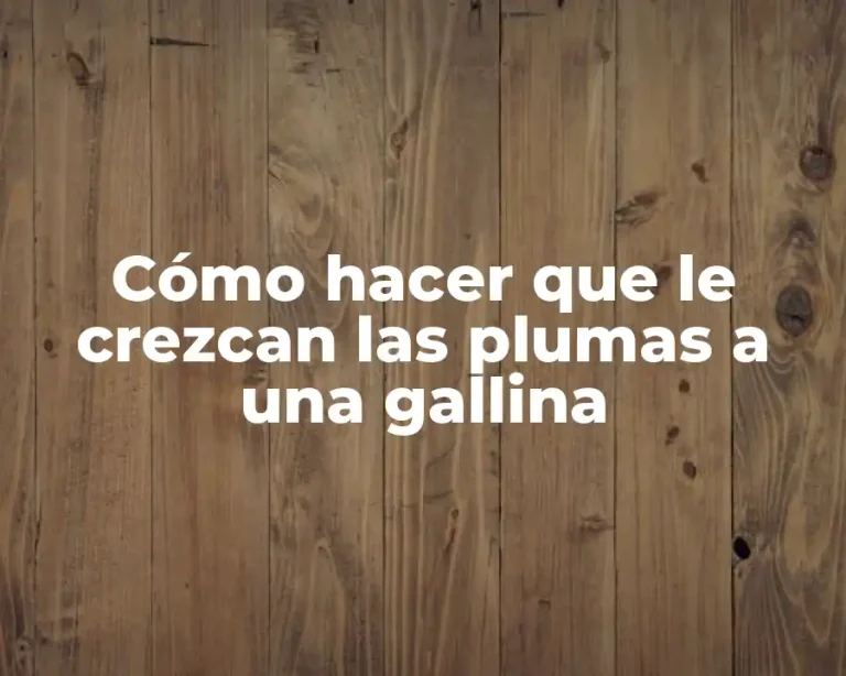 Cómo hacer que le crezcan las plumas a una gallina