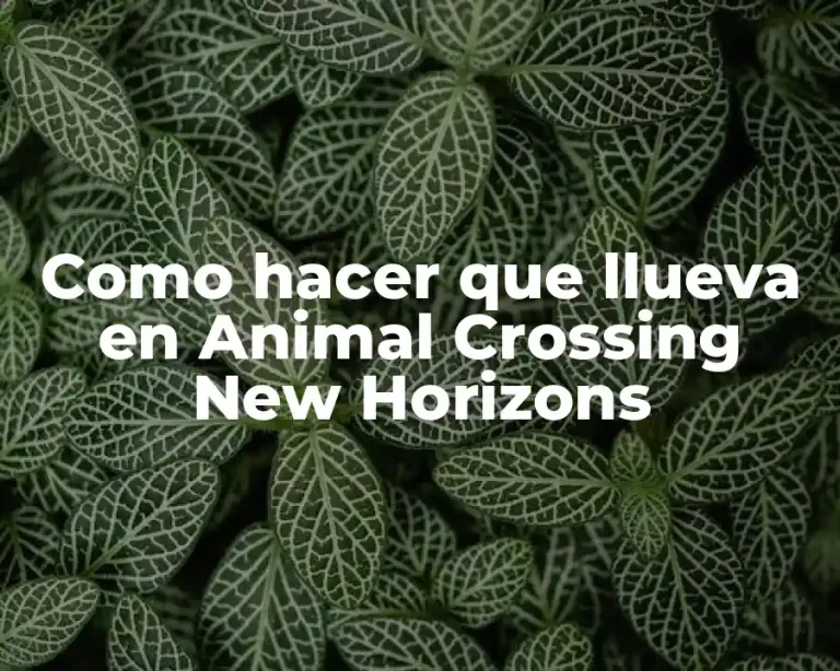 Como hacer que llueva en Animal Crossing New Horizons